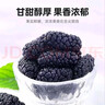 杞里香红枸杞子桑葚干组合500g宁夏头茬特级枸杞黑桑椹干即食桑葚子泡水 实拍图