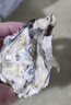 爆款 乳山生蚝鲜活海蛎子特大海鲜牡蛎5斤整箱生鲜 4斤3XL号【10-16个】 实拍图