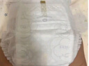 babycare金山茶花拉拉裤XXXXL26片(＞19kg)婴儿尿不湿超薄透气轻柔花苞裤 实拍图