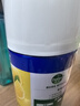 滴露（Dettol）消毒喷雾454ml除臭喷雾鞋子除臭杀菌喷雾马桶消毒柑橘甲流感 实拍图