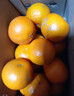 广西沃柑10斤新鲜纯甜橘子当季时令水果桔子柑橘应季整箱水果 5斤装（70mm+精选特大果） 实拍图