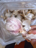 山东金乡鱼台大蒜农家自种干蒜新鲜蔬菜紫皮批发多瓣祘头当季 精品大蒜【带箱2斤】 实拍图