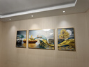 Sixpoetry 客厅装饰画现代简约沙发背景墙壁画轻奢三联晶瓷画大气高档挂画 福禄双收（铝合金外框） 晶瓷画左右50*70+中间100*70亮面 实拍图