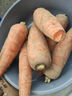 京喜加新鲜现挖现发胡萝卜农家自种蔬菜水果沙地红萝卜 带泥胡萝卜2斤 含箱 实拍图