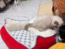 梵都宠舍猫窝保暖冬季睡觉用宠物狗窝四季通用猫沙发 实拍图