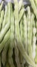 京鲜生山东新鲜架豆王净重3斤新鲜蔬菜源头直发包邮 实拍图