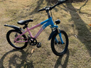 飞鸽儿童自行车6-8-10-12岁青少年自行车学生12到18岁变速山地自行车 单速-辐条轮-渐变粉-98%已安装 18寸【适合身高120cm-145cm】 实拍图