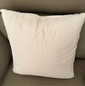 恒源祥纯棉抱枕芯纯色靠枕芯沙发靠垫内胆40 45 50 55 60婚庆靠枕芯腰枕 白色(单只) 50cm*50cm 含枕芯 实拍图