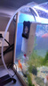 松宝（sobo）鱼缸过滤器内置三合一过滤增氧系统水族箱养鱼循环水泵氧气泵 15W 实拍图