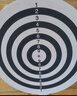 新动力飞镖盘套装18寸娱乐玩具双面植绒镖靶XD-0119 赠6支金属杆飞镖 实拍图
