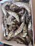 GUO LIAN国联特大号黑虎虾斑节虾 无冰盐冻净重2斤20-30只 海鲜水产生鲜 实拍图