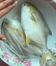 亚又婧金鲳鱼3斤3条新鲜冷冻平鱼大鲳鱼金昌鱼海鱼海鲜水产海鲜冷冻顺丰 500-600g/条 5条 实拍图