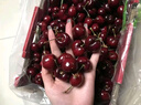 四叔公果蔬智利车厘子【JD-多地次日达】樱桃车厘子5kg4J级进口水果礼盒装 3斤(净重) 【超值装-80%选】爽吃礼盒* 【巨满足｜爽吃爆汁】3J 黑钻巨无霸 30-32mm 实拍图