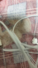 Apple/苹果 EarPods 闪电/Lightning有线耳机 苹果耳机有线耳机原装耳机 适用闪电接口的手机平板 实拍图