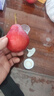 【稀有品种】正宗红啤梨新鲜梨子软糯香甜应季水果红皮啤酒梨整箱 5斤大果 实拍图
