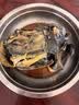 凤补泰和乌鸡正宗原种五爪乌鸡散养白凤乌鸡肉煲汤生鲜现杀端午礼盒装 600足天老乌鸡（送30枚乌鸡蛋） 实拍图