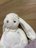 伽百利（Gabriel）毛绒玩具兔子公仔娃娃女孩生日礼物小兔子送女生安抚玩偶 W3101玛格丽特40cm 送礼盒 1 实拍图