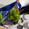 即食裙带菜 大连海藻沙拉海白菜海草 酸甜味裙带菜丝 150g*5袋 实拍图
