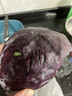 新鲜紫甘蓝生吃凉拌沙拉清脆爽口紫包菜农家自种现采现发新鲜蔬菜 清晨现采紫甘蓝2.5-3斤【单颗≥600g】 实拍图