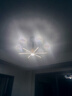 雷士（NVC）美式轻奢现代客厅灯灯臂发光具吊灯无极调光6头灯饰WHDD60F/G-02 实拍图