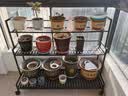 蜗家花架客厅落地式置物架阳台多肉花盆托架铁艺植物花架H9133 实拍图