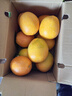 粤迎赣南脐橙橙子正宗精品当季新鲜水果手剥橙子原产地直发香甜好 10斤精选果【香甜多汁】净9斤 实拍图