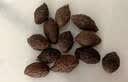 九芝堂胖大海50g咽喉肿痛天然润喉饮品泡茶饮片养生茶礼盒 实拍图