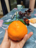 京觅四川春见耙耙柑粑粑柑水果净重4.5斤单果160g+源头直发包邮 实拍图