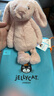 Jellycat害羞胭脂粉色邦尼兔柔软舒适动物毛绒玩偶儿童送礼生日礼物 害羞胭脂粉色邦尼兔 Small 实拍图