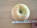 阿克苏苹果新疆阿克苏冰糖心苹果 时令苹果水果 丑苹果红富士 10斤礼盒钻石果85-99mm净重8.5-9斤 实拍图