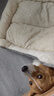 贝尼宠狗窝猫窝宠物窝秋冬加厚保暖网红款耐脏地垫猫咪窝狗床狗垫子睡垫 舒棉绒XL 76x62高10cm适42斤宠物 实拍图