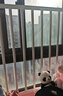 胤睎贝 窗户防护栏免打孔防盗窗防护网家用自装儿童安全隐形飘窗阳台围 高度60的一体护栏送工具尺寸定制 长度200-210定制尺寸 实拍图