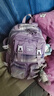 爱迪生发明家初中生书包黛露小学生大容量女生减负双肩背包 2260-2 紫色大号 实拍图