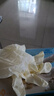 英科医疗（INTCO）一次性手套乳胶手套100只大码食品级厨房家务清洁日常检查医生用 实拍图