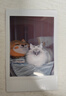 富士（FUJIFILM）【618抢先购】 instax mini99 灼灼流光 立拍立得相机 使用3英寸相纸 单机礼盒可选 mini99【含握持手柄+肩带+充电电池+充电器】 官方标配 实拍图