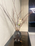 花翁干枝支水培植物花卉室内盆栽绿植 雪柳鲜枝70-80cm20支源头直发 实拍图