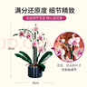 乐高（LEGO）积木拼装10311 兰花永生花男孩女孩女生玩具生日圣诞礼物 实拍图