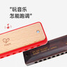 Hape(德国)音乐玩具宝宝吹奏乐器初学者布鲁斯口琴女男孩礼物E0616 实拍图