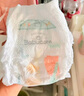 babycare Airpro纸尿裤加大号XL36片(12-17kg) 婴儿尿不湿夏日超薄透气 实拍图