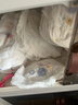 好奇（Huggies）金装拉拉裤XXL42片(15kg以上)尿不湿【速干不易红】 实拍图