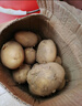 京鲜生山东新鲜小土豆净重3斤单果100g以上 现挖黄心马铃薯蔬菜源头直发 实拍图