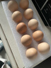 京鲜生鲜鸡蛋10枚/盒 健康轻食 营养健康1斤/盒 源头直发  实拍图