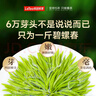 乐品乐茶碧螺春绿茶2025新茶明前特级嫩芽茶叶礼盒装送礼袋250g自饮袋装 实拍图