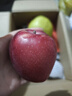 京鲜生 甘肃天水花牛苹果 又大又红 净重10斤 单果240g以上 新鲜水果  实拍图