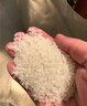 四万公里旅行漱口杯刷牙杯牙具牙刷杯子牙缸便携洗漱套装牙膏牙刷盒SW2001 实拍图