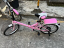 ICOLOUR折叠自行车成人男女超轻便携单车变速减震通勤代步车后备箱免安装 【免安装】旗舰版变速-公主粉 20寸【适合身高：140-170cm】 实拍图