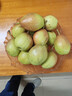 源自新疆红香酥梨新鲜梨子3/5/10斤脆甜皮薄梨子应季水果整箱批发 净重5斤普通小果 实拍图
