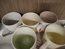 彩致（CAIZHI）马克杯家用陶瓷水杯早餐杯学生泡茶杯办公室咖啡杯 六件套CZ6897 实拍图