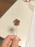 棵力果 枇杷秋梨膏棒棒糖 180g30支 润喉下火 健康休闲 零食 糖果 实拍图