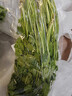 带根香菜100g 实拍图